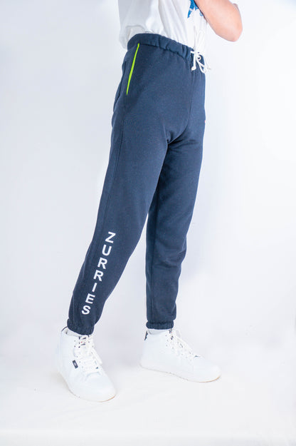 Zurries Billinery Sweat Pants (grey Colour)