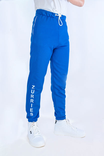 Zurries Billinery Sweat Pants (grey Colour)