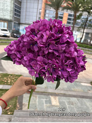 Bouquet of deep purple hydrangeas held by a person outdoors with buildings and palm trees in the background.