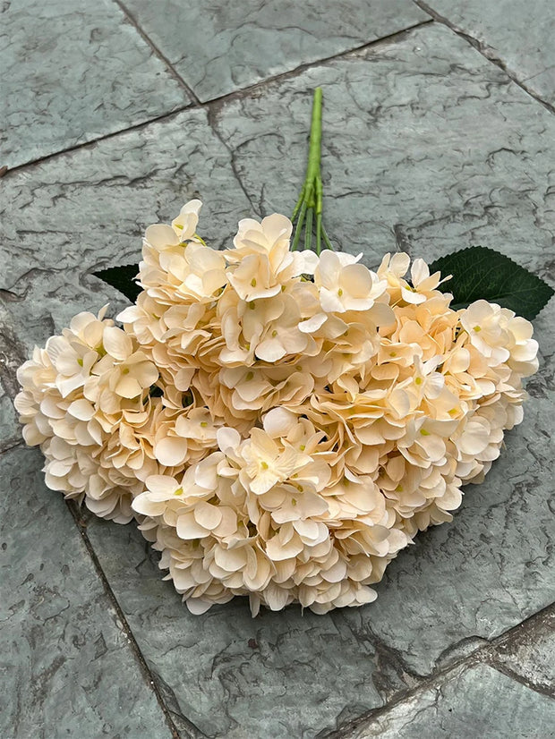 Cream-colored flowers on a stone surface