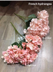 Bouquet of pink French hydrangea flowers on a wooden surface with labels for 'Light Pink' and 'Meat meal'.
