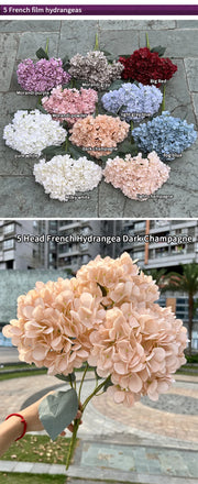 Collection of French hydrangeas in various colors with a hand holding a bouquet.