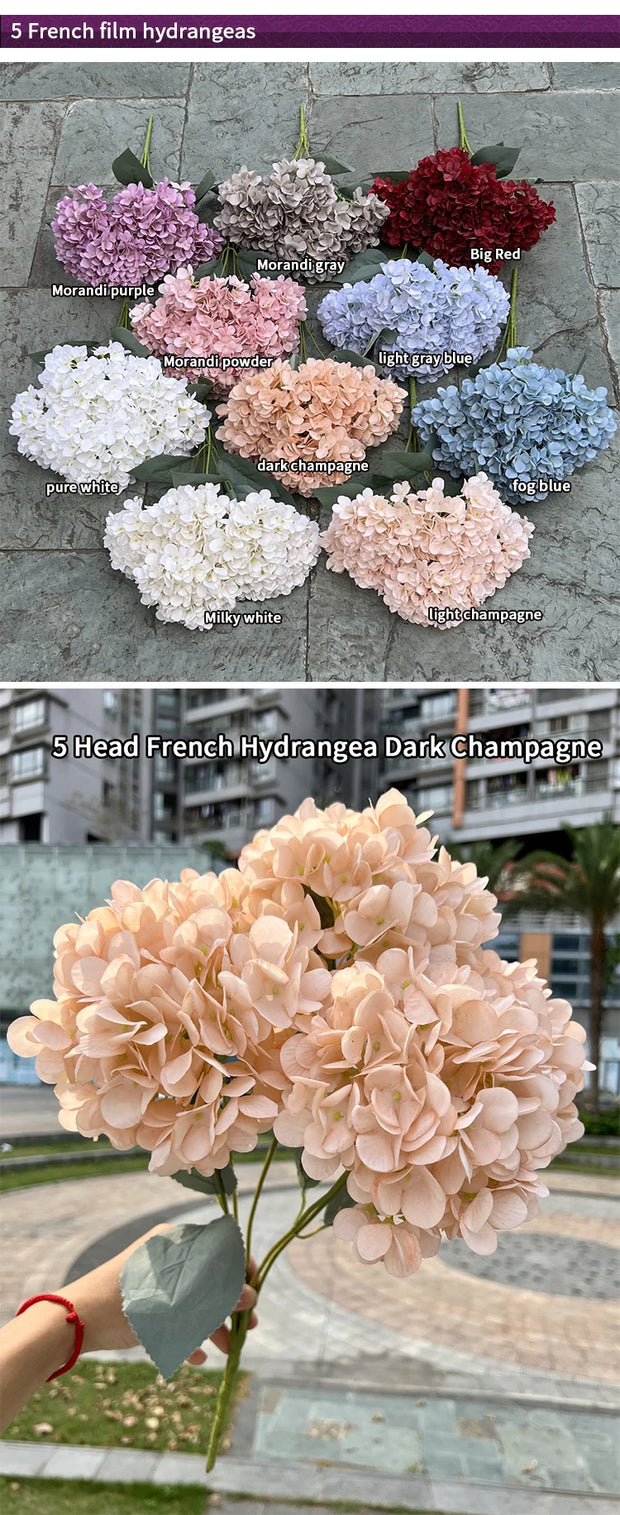 Collection of French hydrangeas in various colors with a hand holding a bouquet.
