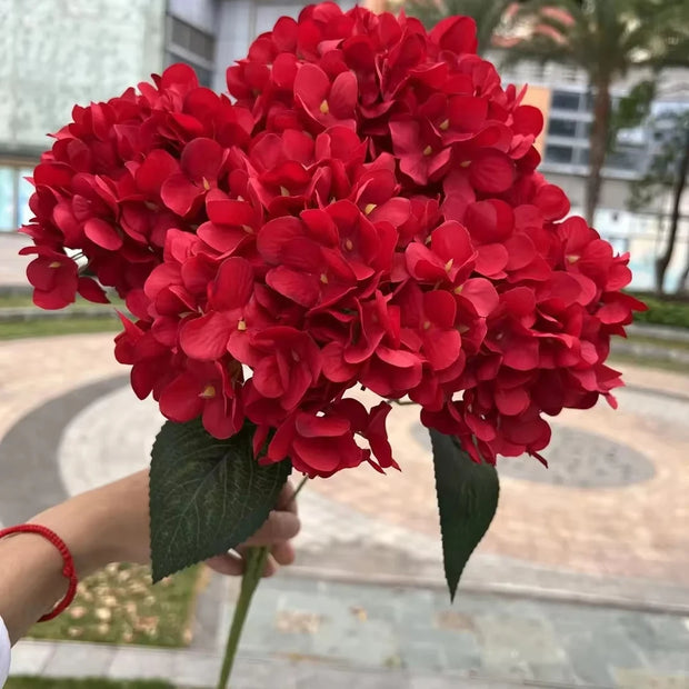 Red flower bouquet held by a person with a blurred outdoor background