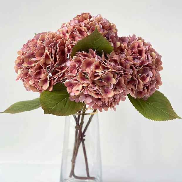 Pink hydrangeas in a clear vase on a light background