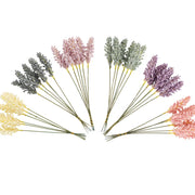 Set of dried lavender flowers in various colors on a white background