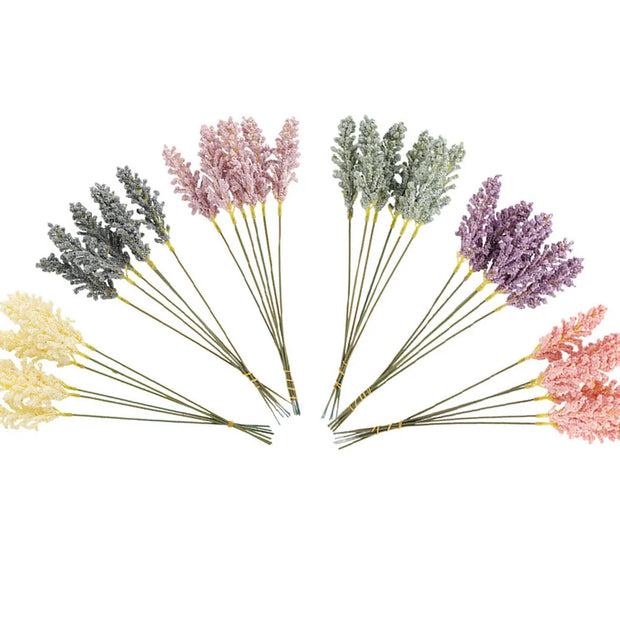 Set of dried lavender flowers in various colors on a white background