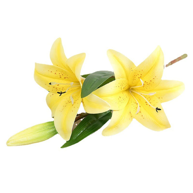 Two yellow lilies with green leaves on a white background