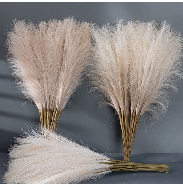 Two bundles of dried pampas grass against a gray background