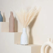 White vase with dried pampas grass on a neutral background