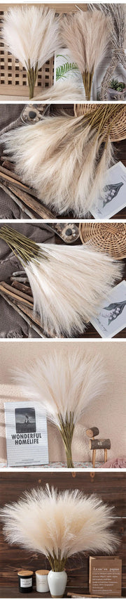 Collage of pampas grass arrangements in various settings