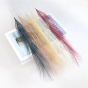 Colorful feathers on a white background