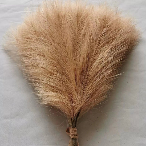 Dried pampas grass on a light background
