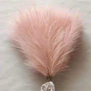 Pink dried pampas grass on a light background