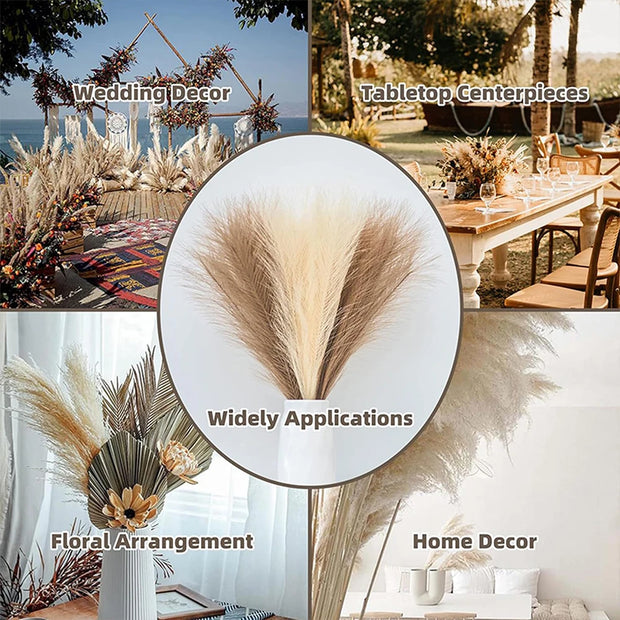 Collage of dried pampas grass used for wedding decor, tabletop centerpieces, floral arrangements, and home decor.