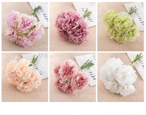 Set of six carnation flowers in different colors on a textured surface with a magazine background.