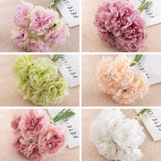Collage of six different colored carnations on a textured surface with visible text.