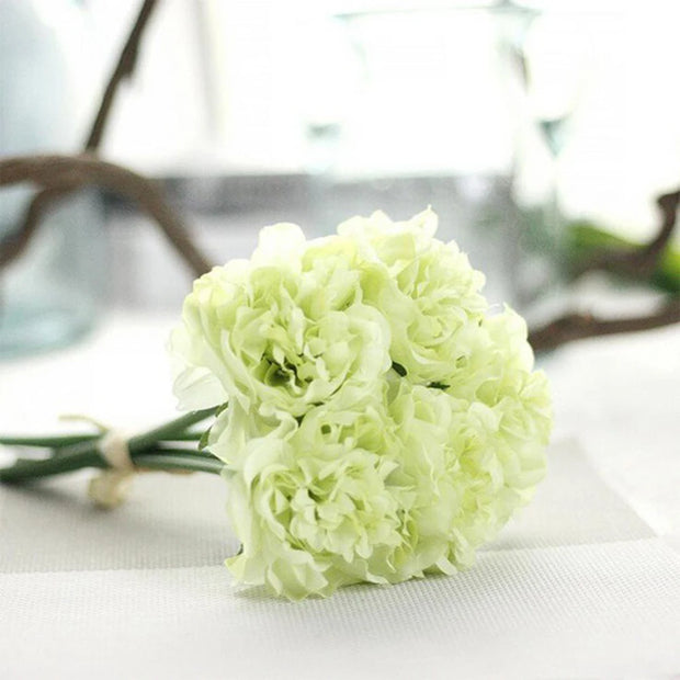 Light green carnation flower on a white background