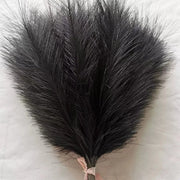 Black ostrich feather fan on a light background