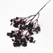 Branch with black flowers on a white background
