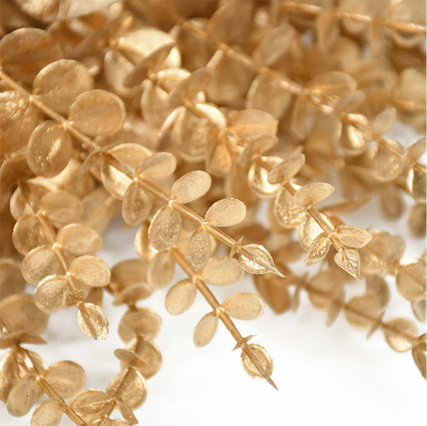 Close-up of gold leaf branches on a white background