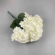 White flowers with green leaves on a gray background