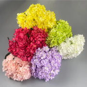 Bouquet of colorful hydrangeas on a gray background