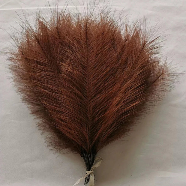 Brown feather on a white background