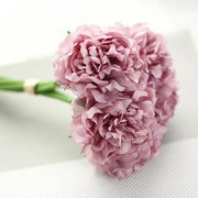 Pink carnation flower on a white background
