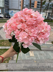 Bouquet of pink hydrangeas held by a person outdoors with buildings in the background.