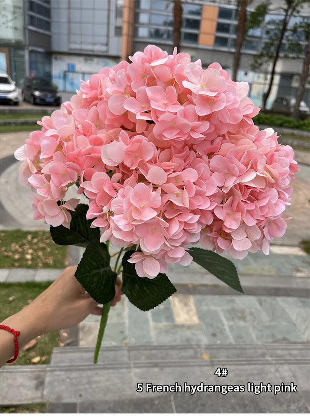 Bouquet of pink hydrangeas held by a person outdoors with buildings in the background.