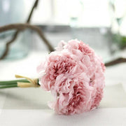 Bouquet of pink carnations on a light background