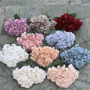 Assorted colors of hydrangea flowers on a stone surface
