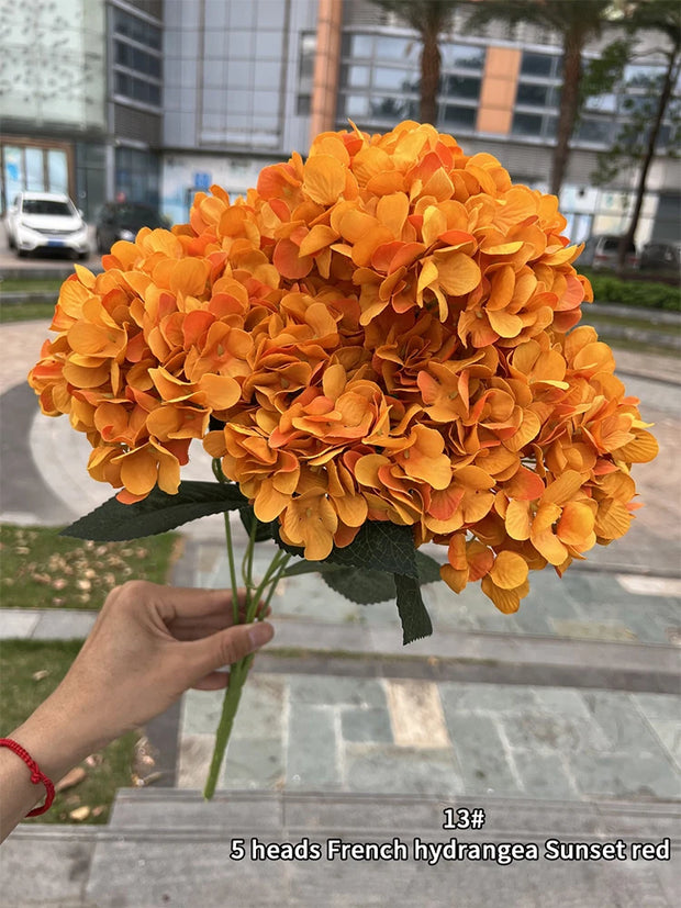 Bouquet of orange French hydrangea flowers held by a person outdoors.