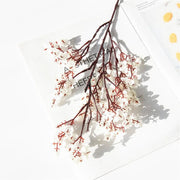 White flowers with red accents on a white background
