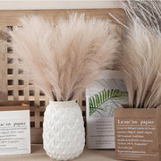 White textured vase with dried pampas grass against a neutral background