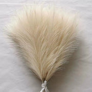 Dried pampas grass on a light gray background