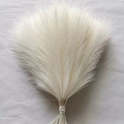 Bouquet of white pampas grass on a light gray background