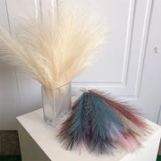 Decorative pampas grass in a clear vase on a white surface with a white wall background.
