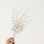 Bouquet of white dried flowers held by a hand on a light gray background