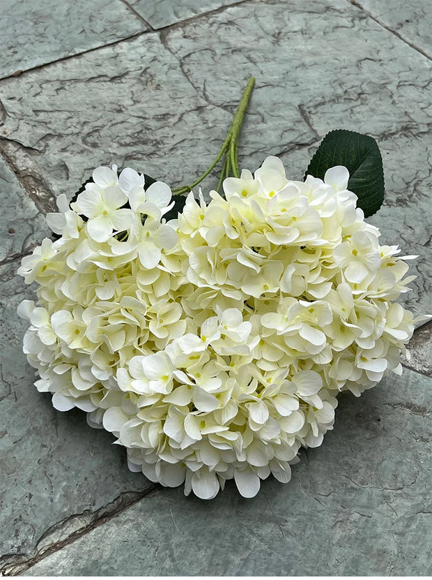 White hydrangea flower ball on a stone surface