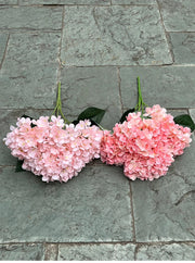 Pink flowers on a stone surface