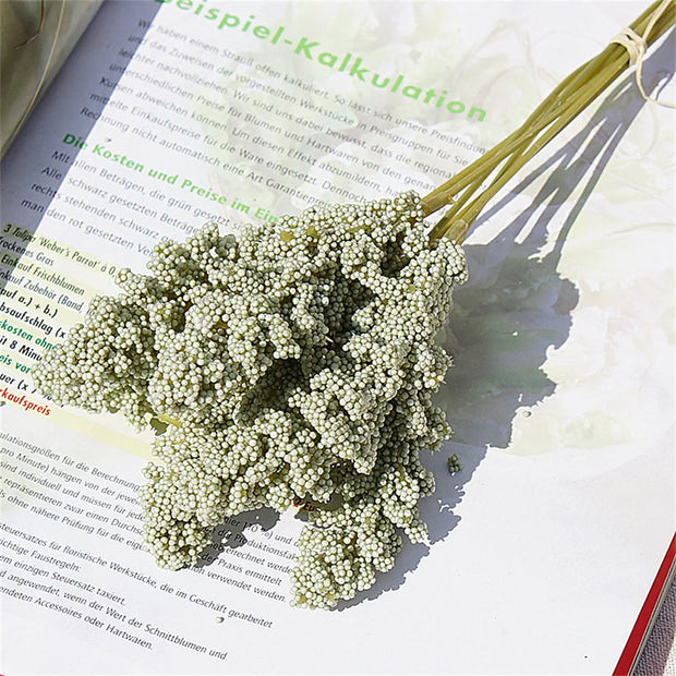 Bouquet of small white flowers on an open book