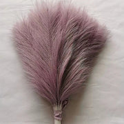 Pink feather on a light background