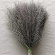 Gray feathered object on a textured white background