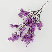 Branch of purple flowers on a light gray background