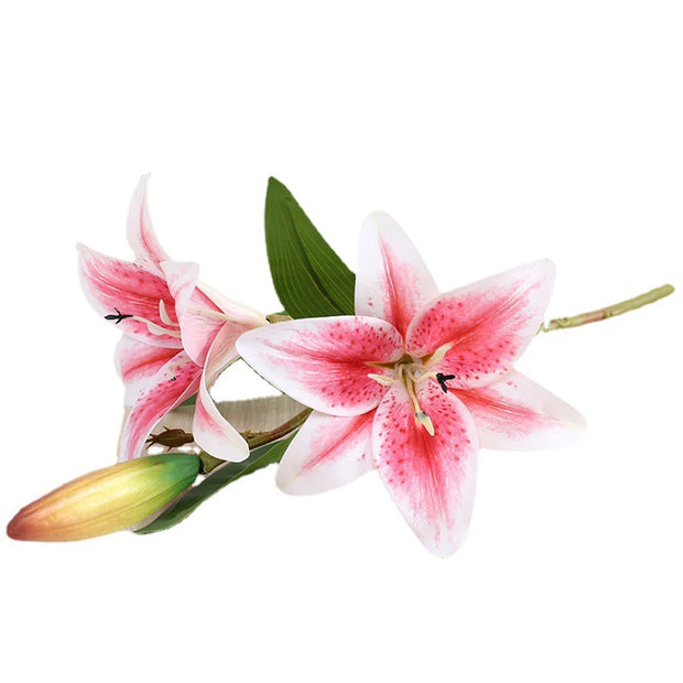 Pink and white lilies on a white background