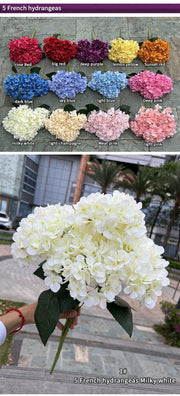 Collection of French hydrangeas in various colors with a blurred background.