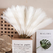 Dried white pampas grass in a paper bag with a magazine titled 'Malibu' in the background.