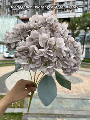 Bouquet of French Hydrangea Morandi gray held by a hand with a blurred outdoor background